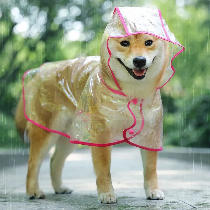 Capa de chuva transparente para cachorro