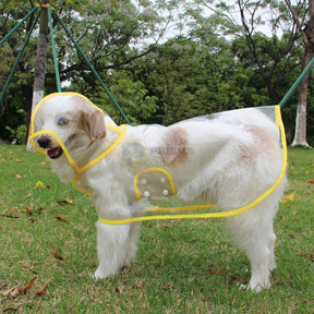 Capa de chuva transparente para cachorro