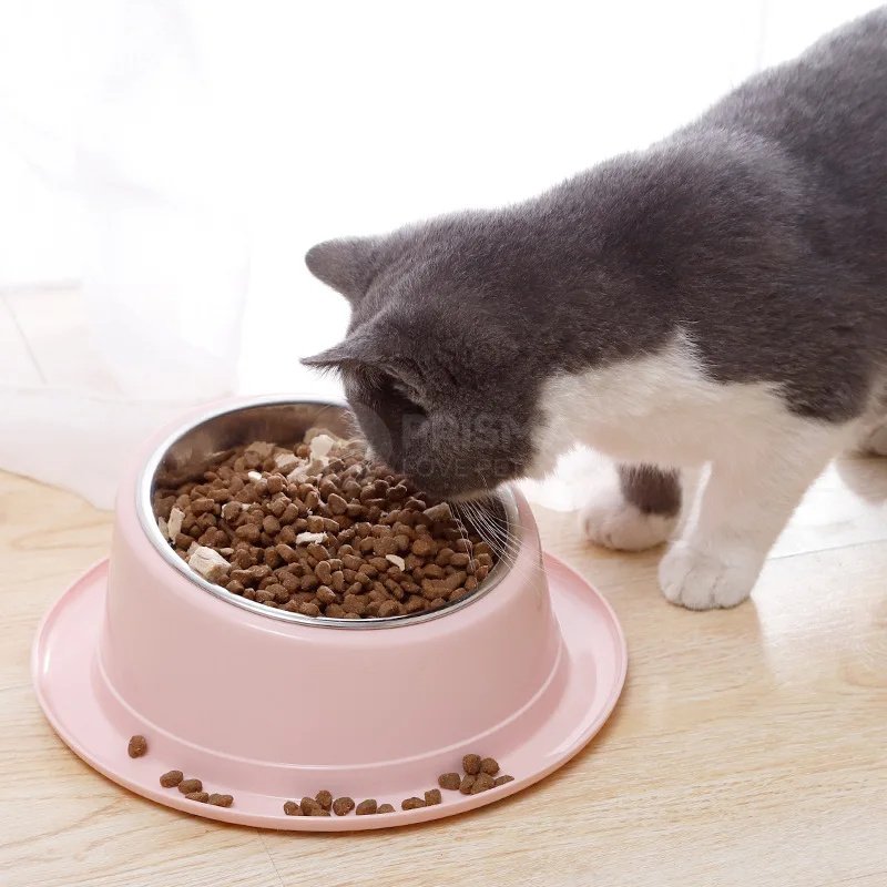 Comedouro Tigela Inclinada Anti-Formiga para Gatos - Aço Inoxidável de Qualidade